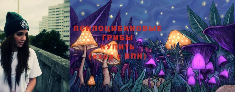 Псилоцибиновые грибы Magic Shrooms  МЕГА зеркало  Гулькевичи 